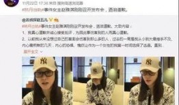 洪阳前夫爆料新闻,揭秘明星婚姻背后的惊人真相