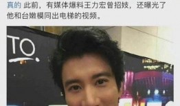 爆料王力宏视频最新消息,揭秘不为人知的背后故事